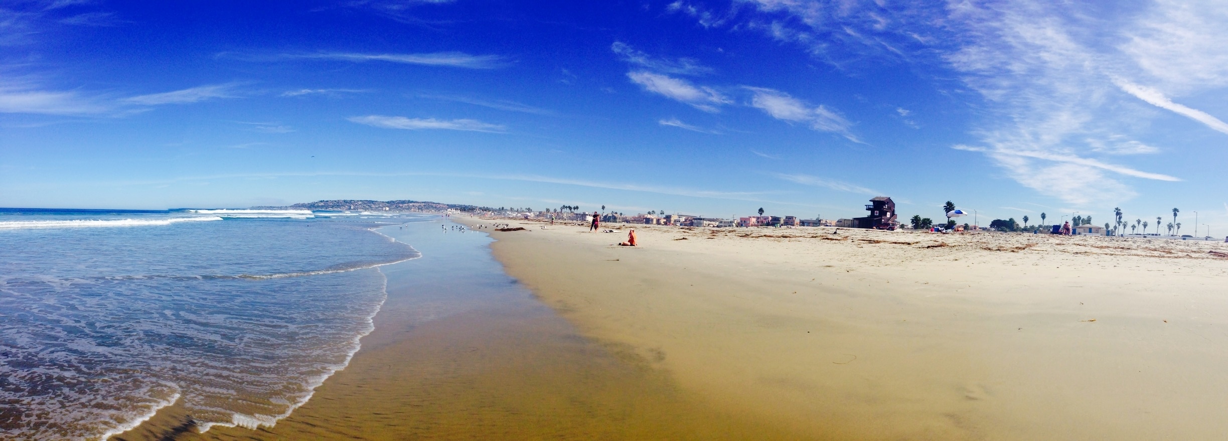 Puzzle - Dog Beach, Ocean Beach San Diego CA