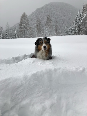 ❄️