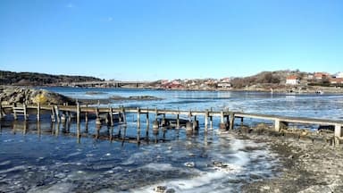 Don't miss out the picturesque walk from Donsö to Styrsö when you visit the Gothenburg archipelago! 

Although might be nice with a picnic during the summer time, the frozen coastline in winter is also breathtaking.

#lifeatexpedia #wewhotravel #göteborg #gothenburg #sweden #wanderlust

