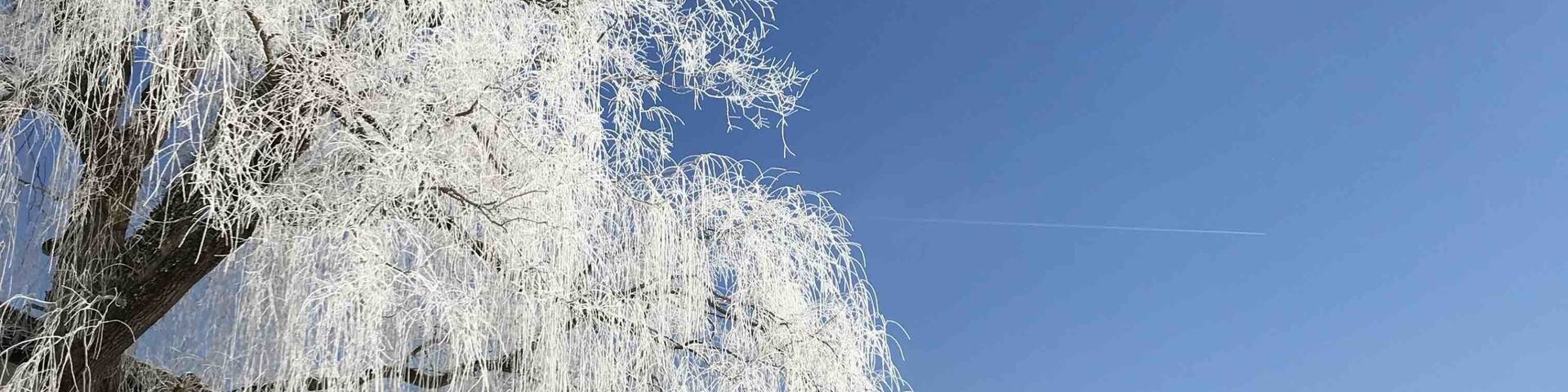 图莫斯巴赫, 策尔湖, 萨尔茨堡 (州), 奥地利