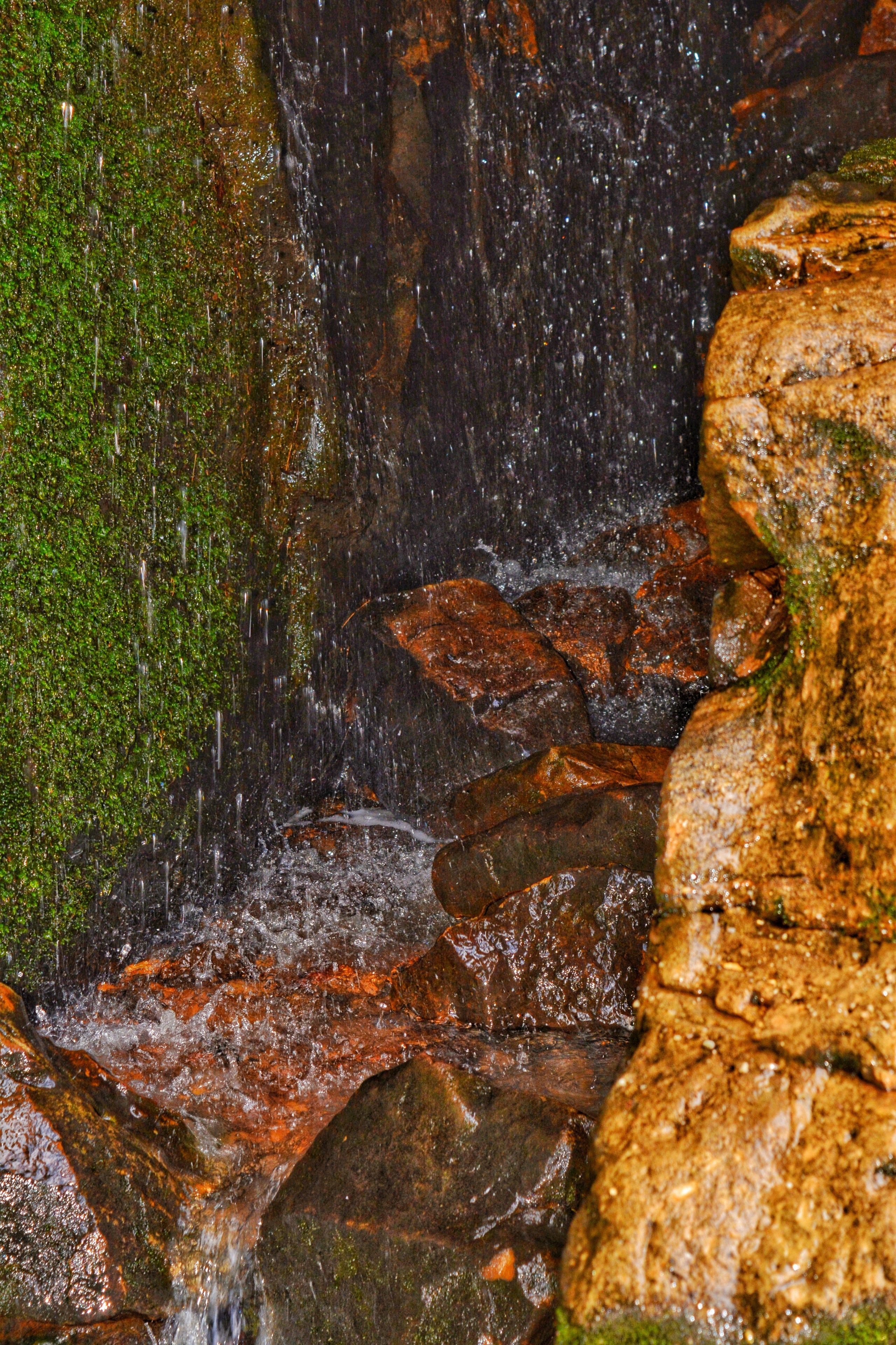 Ferne Clyffe Waterfall Detail
Goreville IL
#detail