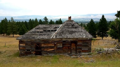 An old abandoned house outside of Victor