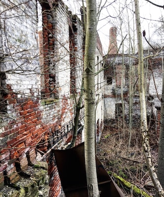 #abandoned glass factory