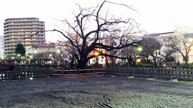 The castle area, would like to come back here in March for the cherry blossoms 