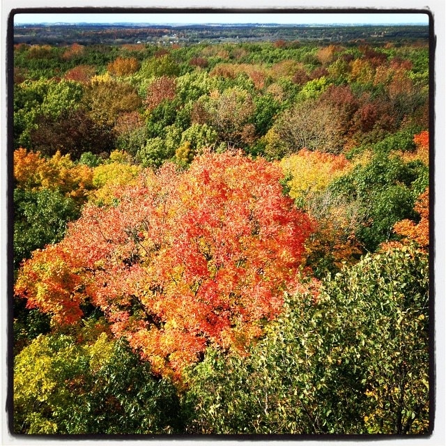 Kettle Moraine Parnell Tower - what a view!