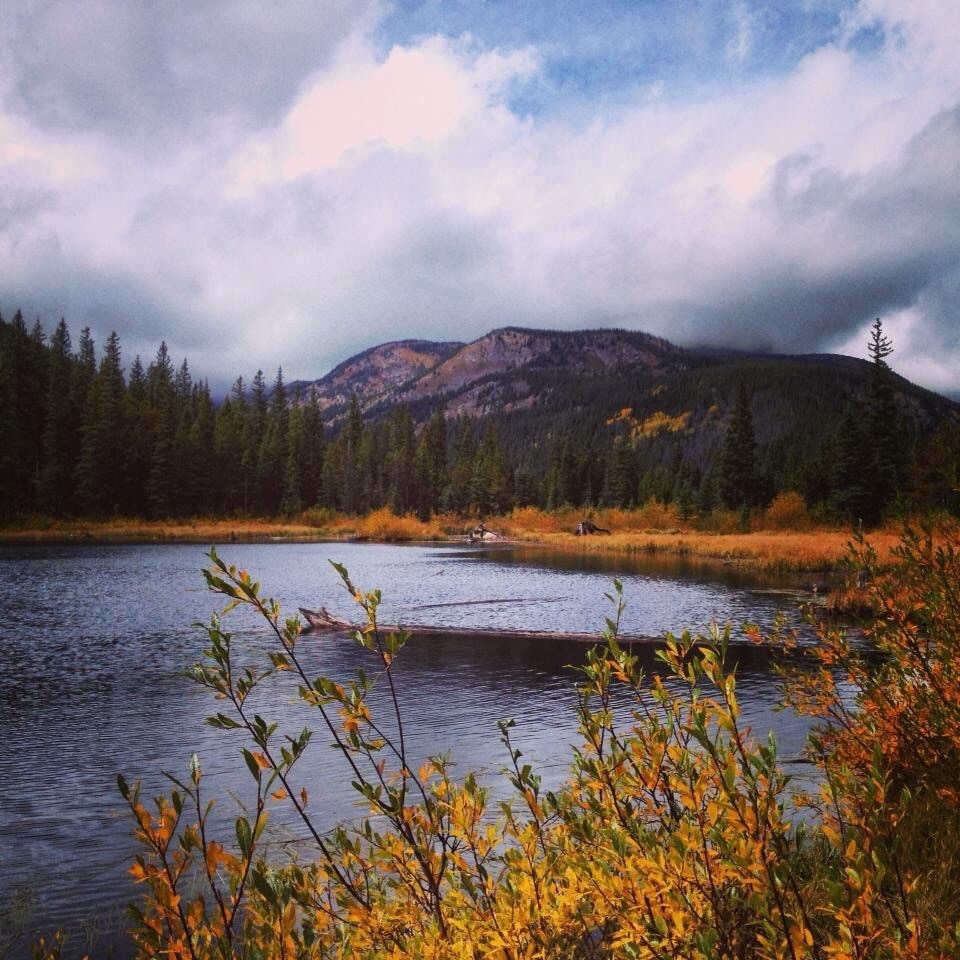 Top 20 Nederland, CO townhouse rentals from 82/night Vrbo