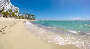 Beautiful beach in Juan Dolio, Dominican Republic! Just an hour and half outside of Santo Domingo. It is a big beach with lots of space and good swimming. Lots of places to eat around the corner. Loved it! 