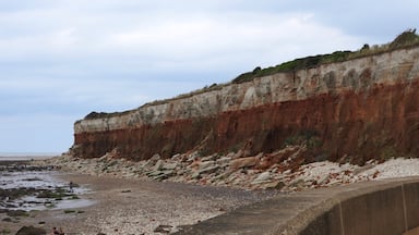 The stratified red chalk limestone and white chalk cliffs on the beach in Hunstanton, England.

#LikeALocal #Nature
#Golden