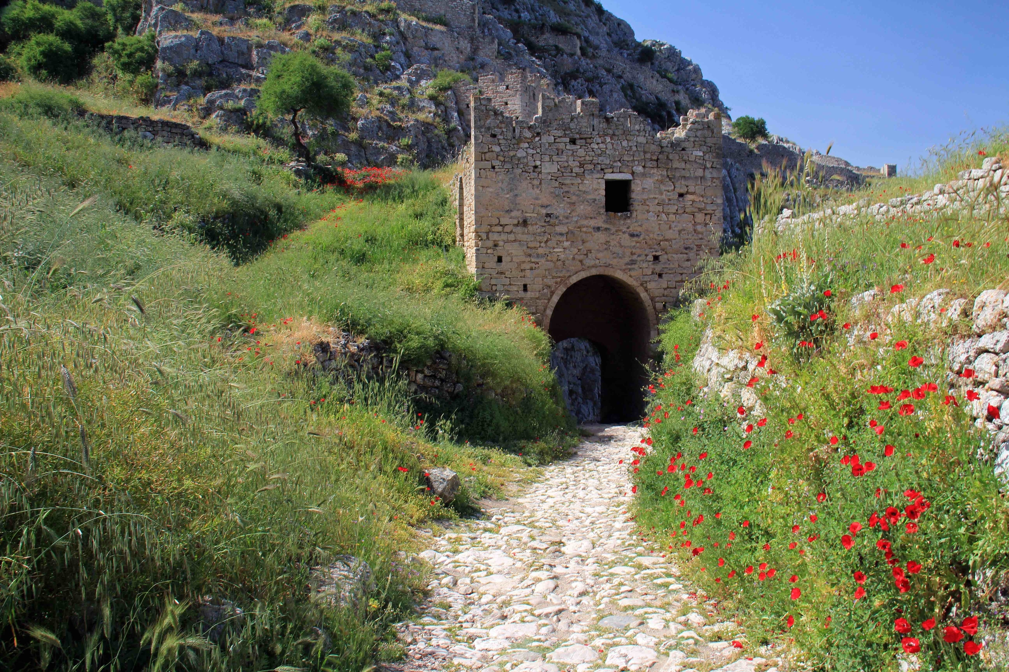 A lot of poppies and wild flowers growing in and around the walls of Acrocrinth fortress. Beautiful place for wandering around and great stop when visiting the Corinth ruins nearby.