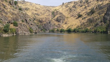 Boat trip in International Douro. Absolutely amazing place, time well spent.

One of the most beautiful places in Portugal.