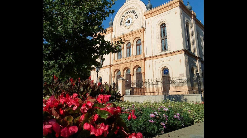 佩斯猶太教堂, 貝赤, 巴蘭尼亞, 匈牙利