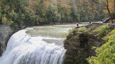 The Finger Lake area of NY state is absolutely incredible. This is middle falls at Letchworth. Beautiful. 