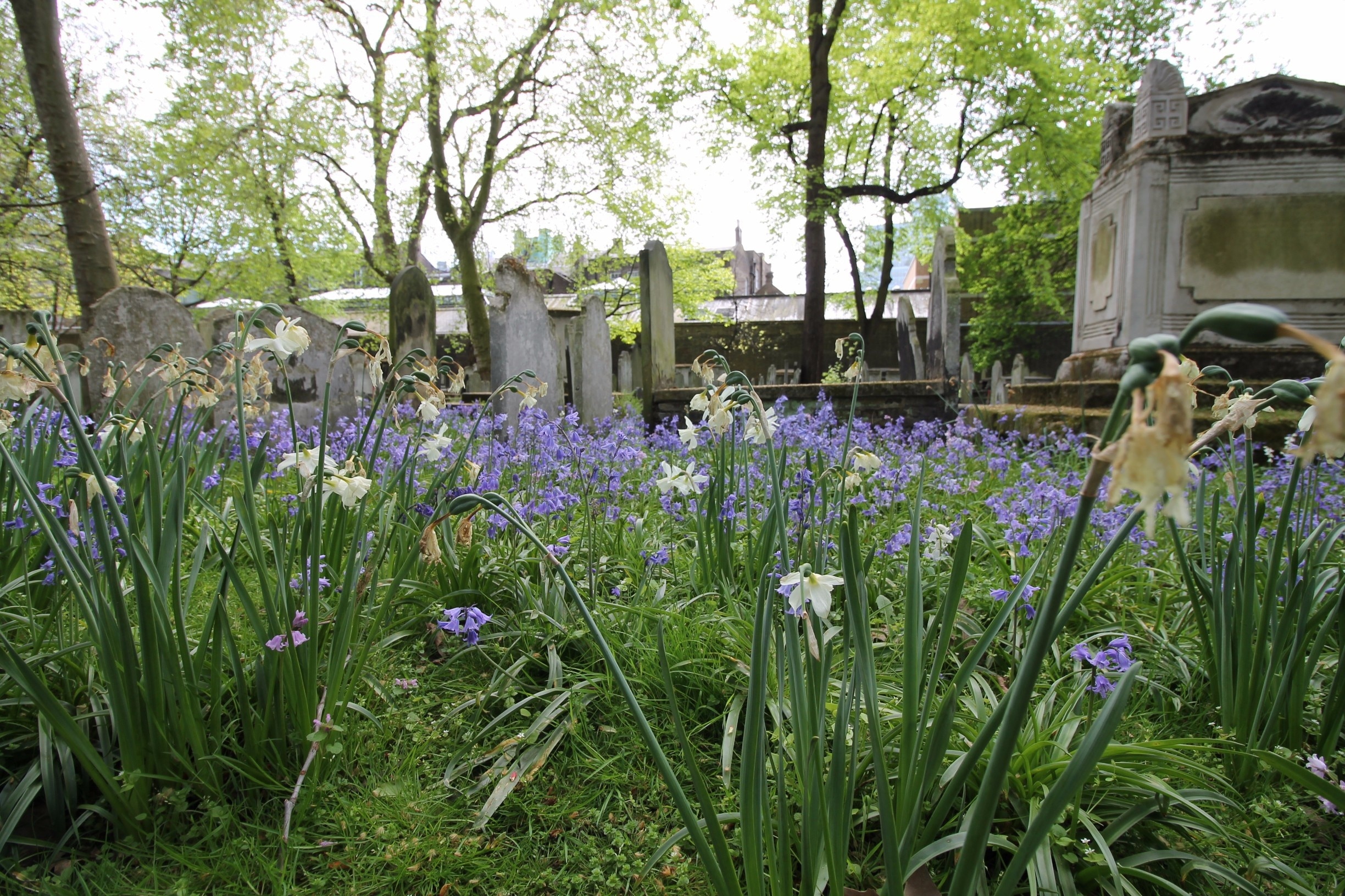 A green oasis in the middle of the City of London. 

Bunhill Fields off Moorgate is a burial ground full of flowers and home to the graves of William Blake, Daniel Defoe and Thomas Bayes.

During the Spring and Summer the benches are full of workers enjoying a quick lunch outside before heading back to the office. 

#lifeatexpedia #amongthelocals #london 
