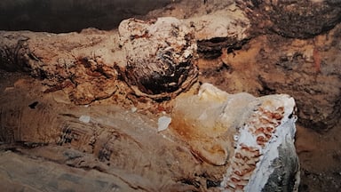In April 2001, Egyptian archaeologists uncovered 22 mummies in Bahariya, some 350 kilometres from Cairo. They date from the 6th century BC and were neatly divided into two tombs.
Shortly afterwards, during a journey through the White Desert, I was given the exceptional opportunity to descend with an Egyptian friend in one of the tombs. There I found this untouched sarcophagus of a mother with the mummy of her child on top of her.
(The necropolis in the Bahariya Valley, home to more than 230 mummies, was only discovered in 1999.)  #Adventure  #LocalSecrets  #Trovember