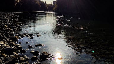 Tararua Forest Park is one more natural beauty of New Zealand and short walks around Otaki Forks are definitiely perfect idea for a #weekendgetaway.