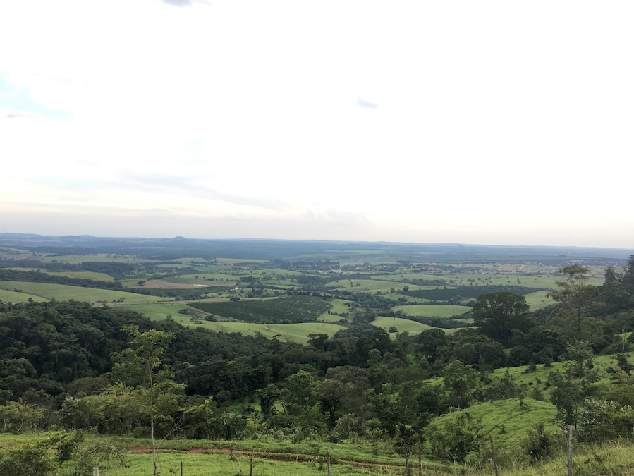 Country landscape and a must have stop to take a delicious coffee with this view.
#SaoPaulo