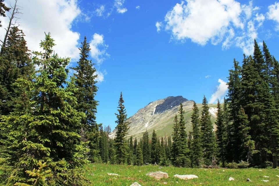 Granby, CO Vacation Rentals house rentals & more Vrbo