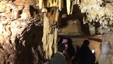 Visit Cave of the Mounds if nearby! A must see if you enjoy learning about caves and how they formed. 