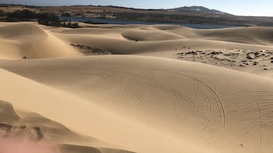 “No matter how long I wait, how long I travelled but I will never stop to look for the oasis in the desert of life and quench my soul to be alive.  “


White Sand Dunes 

Discover The White Sand Dunes of Vietnam in Hòa Thắng, Vietnam: A desert in southeast Asia, complete with a beautiful lake covered in lotus flowers.

#vietnam #photography #nature #travel #adventure #wonderer #muine #vacation