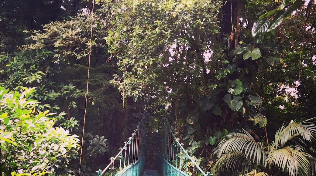 Selvatura Adventure Park, Tronadora, Guanacaste, Costa Rica