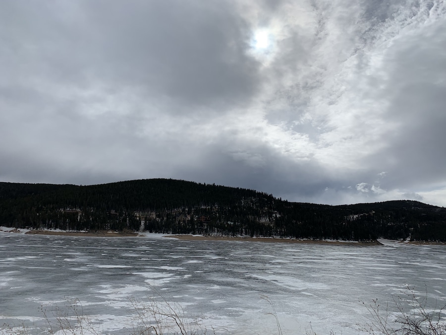 Love the winter