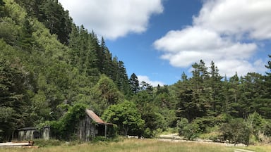 Staglands Wildlife Reserve, Akatarawa Valley, Upper Hutt, Wellington, New Zealand