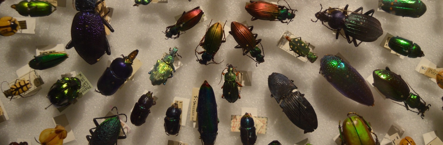 Cambridge, Massachusetts, Ameerika Ühendriigid