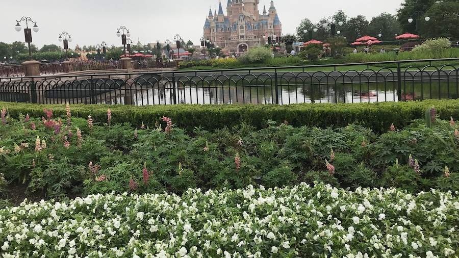 Parque Shanghai Disneyland©