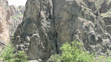 Once the medieval kingdom of Georgia. There are so many castles on hilltops that it's a surprise when there isn't one. #castles #ruins