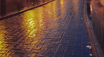 Rainy evening