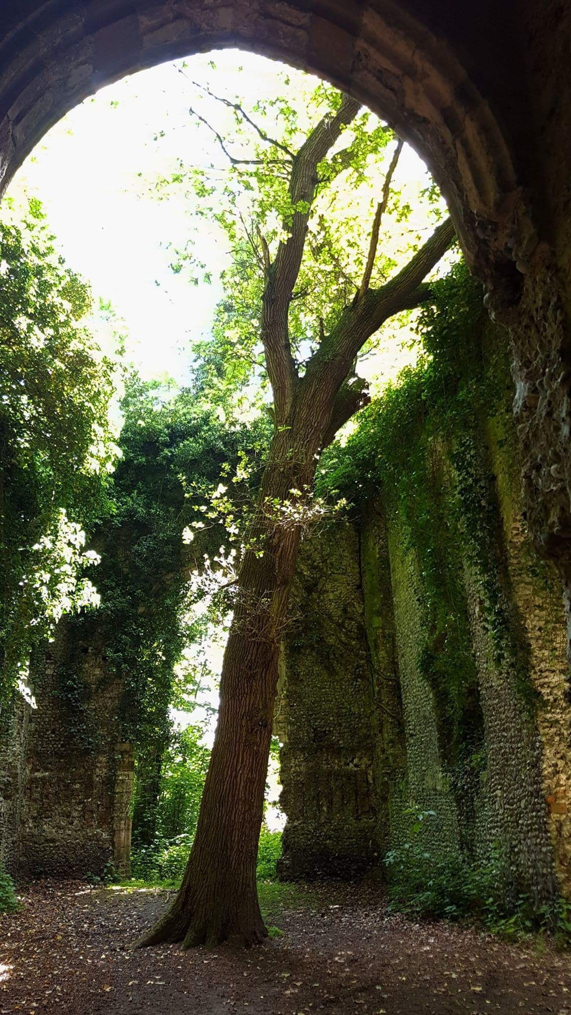 Ảnh của Gemma Bowen