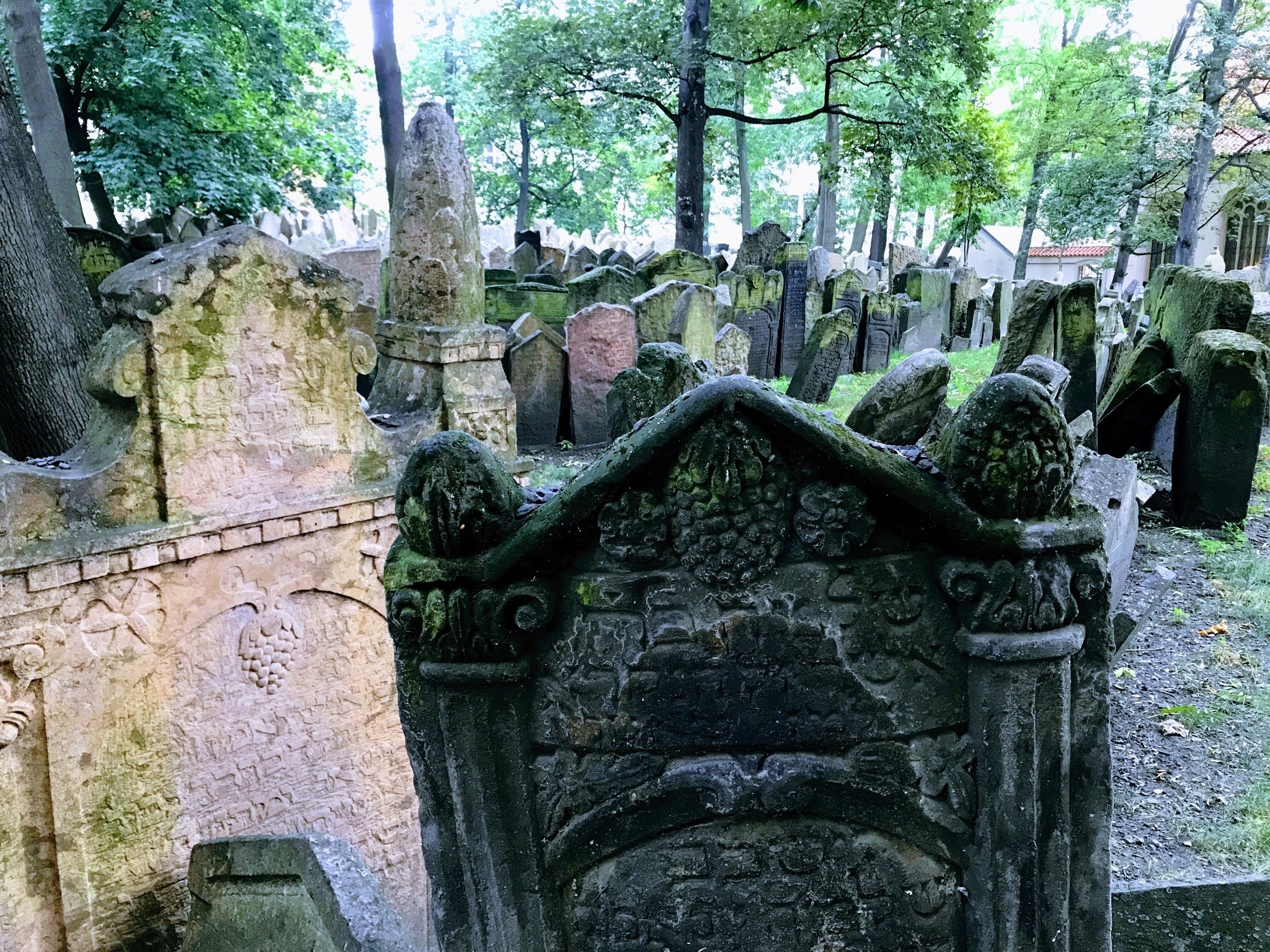 Vieux Cimetière Juif : Centre-ville De Prague - Visites & Activités ...