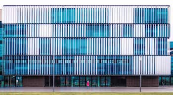 The exterior of the Rhein Mose Halle has a nice white and blue pattern. Interesting for #architecture photography