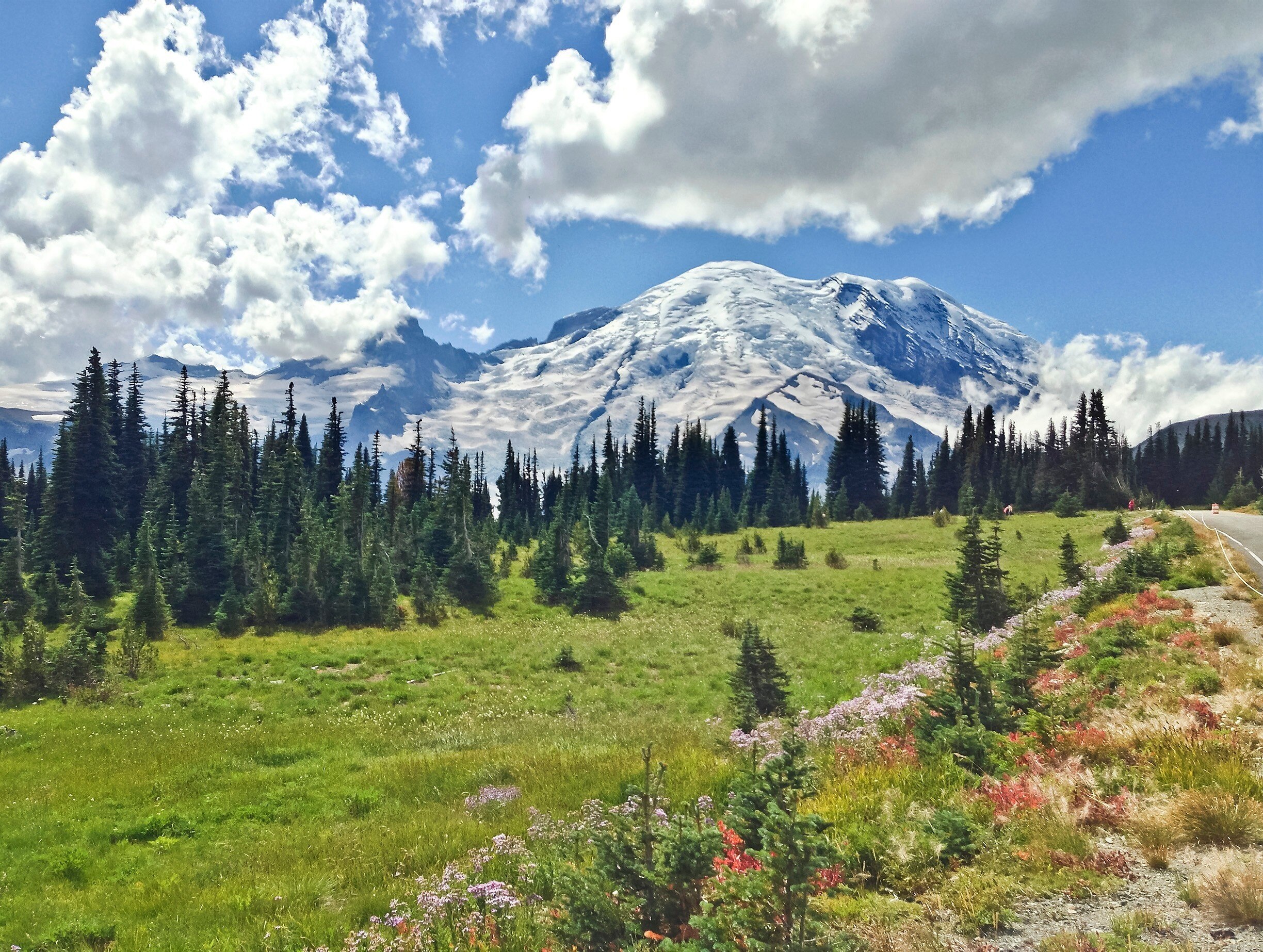 Mount Rainier National Park Hotels; Mount Rainier National Park in Washington | Expedia
