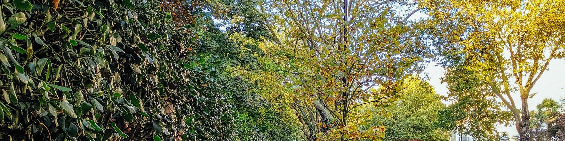 Sometimes slowing down just a little can reward you with a different gold leaf-medal(s). Pictured the less travel path along the Hyde Park's fance, because there's no limit to what can be explored. #LifeAtExpediaGroup #london #hydepark