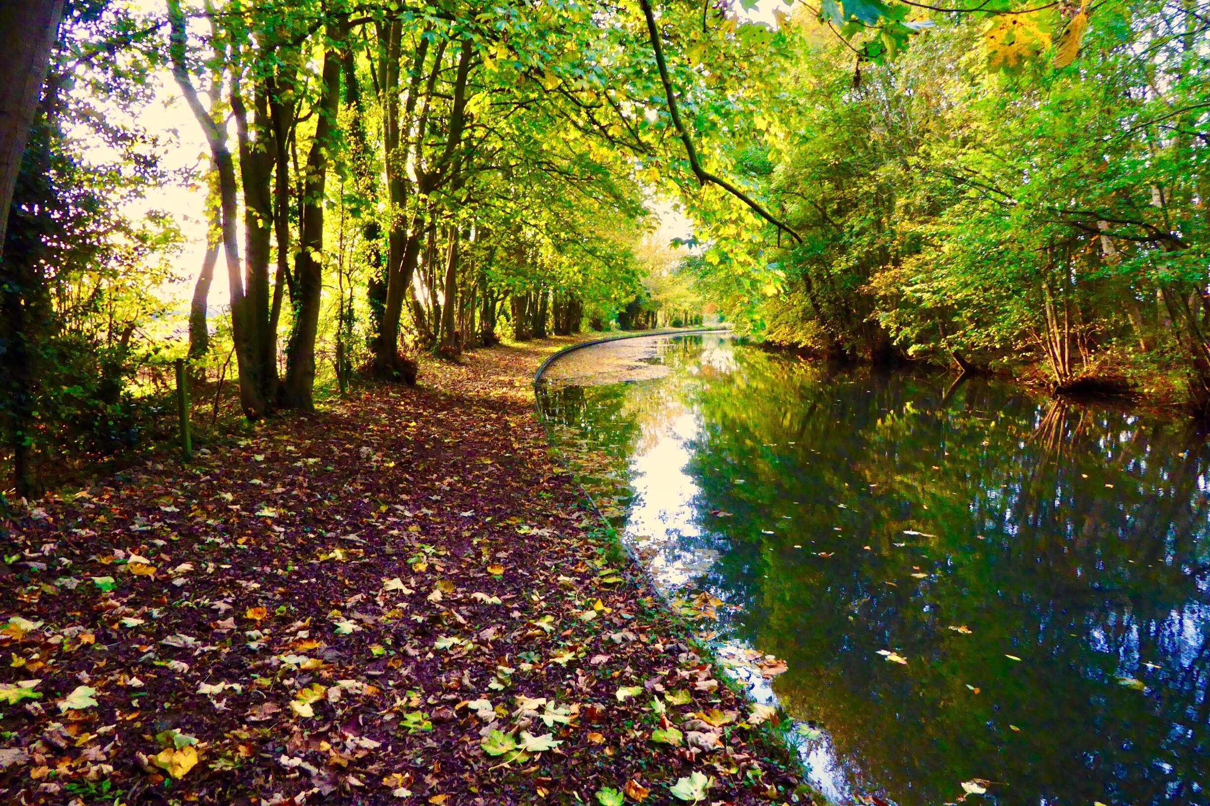 Foto tomada por Andy C Brown