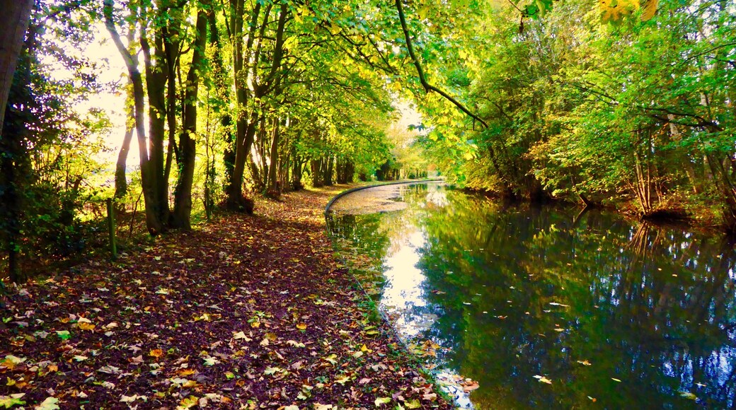 Foto av Andy C Brown