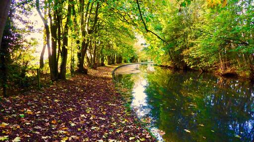 Foto tomada por Andy C Brown