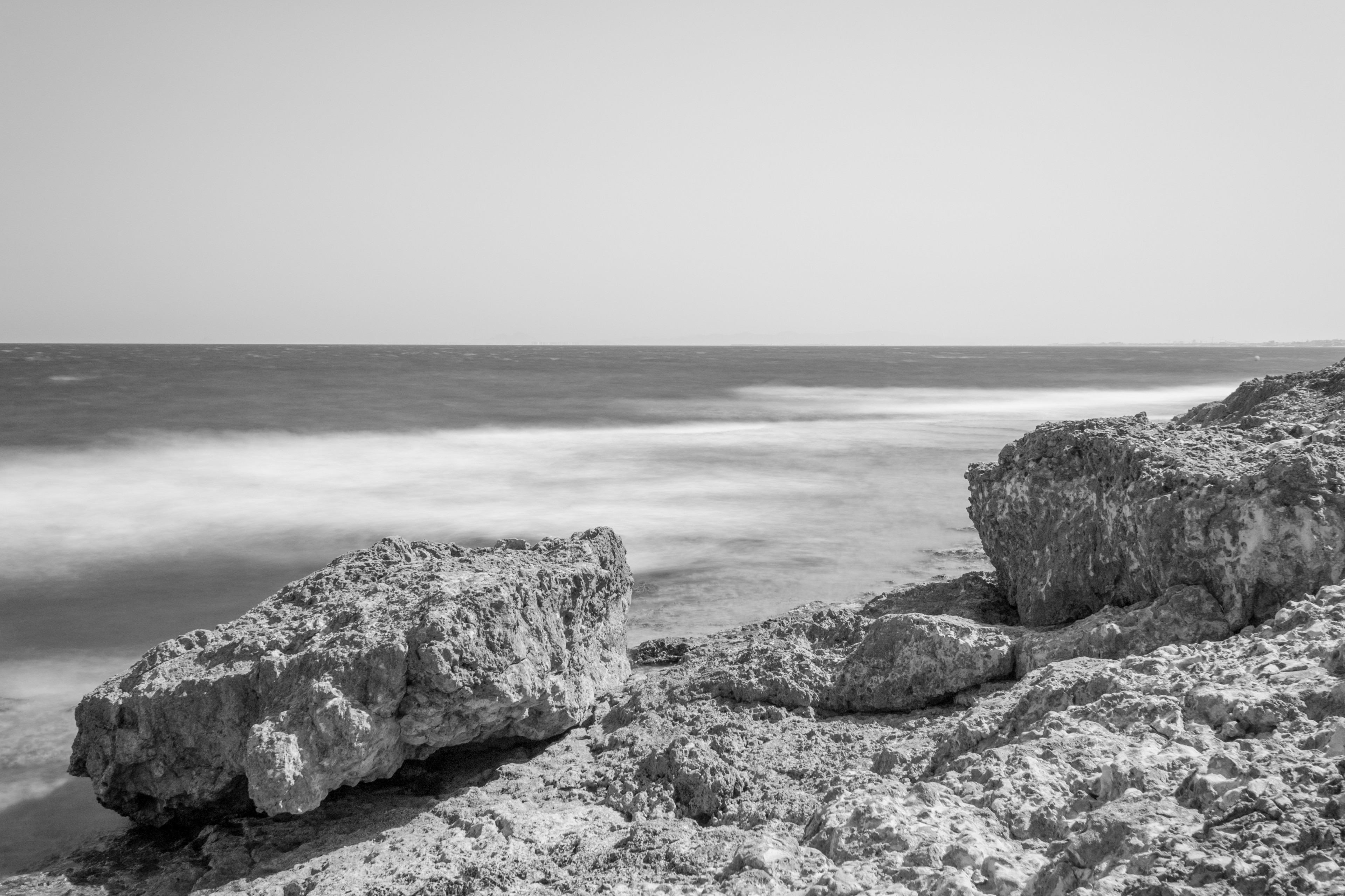 Photo by Donny Vandenbulcke 
