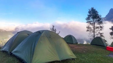 This a strategic camping location with a view of the tallest mountain in Malaysia(Kinabalu mt). The weather was cool in the morning and super duper windy at night. What a great experience it was. We were thinking that if we wanna conquer this mountain next year, lets have a look at it before we do. 😄 its phenomenal. Just waking up to the view this beautiful.