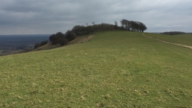 Approach to Chanctonbury ring along the South Downs way