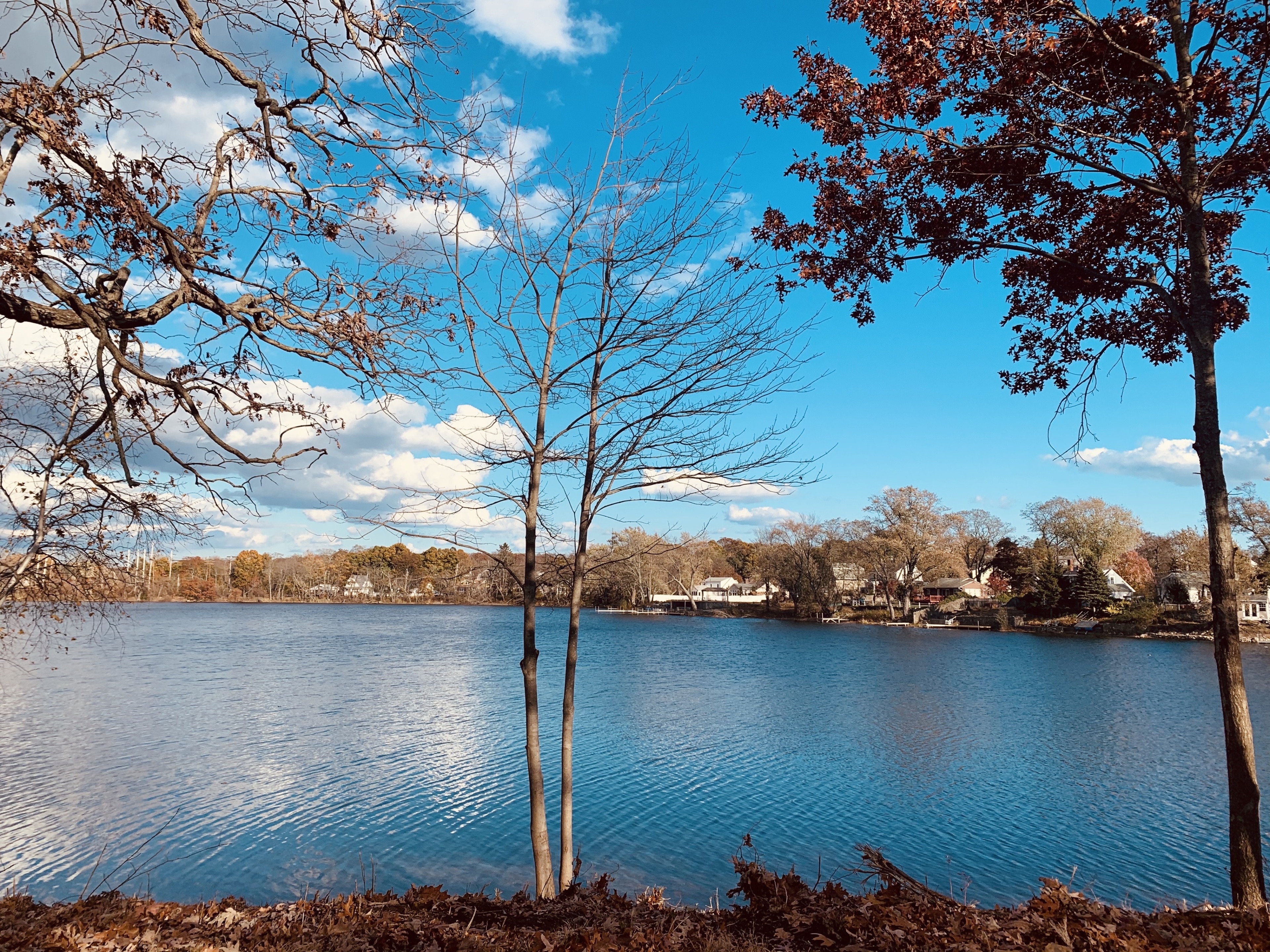 Top 10 Best Hiking in CAMBRIDGE RESERVOIR, MA - Last Updated December 2023  - Yelp