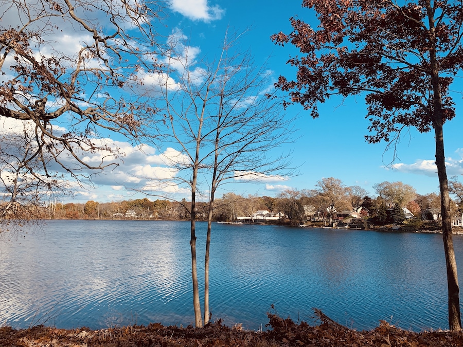 Love long walks around the pond..