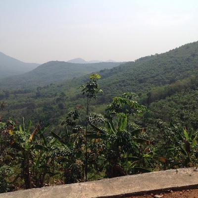 This is in the Indian State of Kerala.