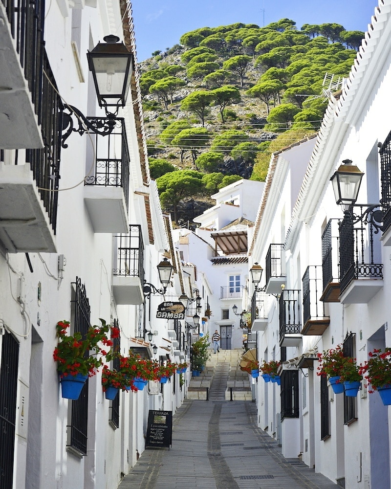 Street Market Arena (Marbella) 