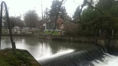 This creek runs through neighborhoods in the city of Salem. Very pretty actually.