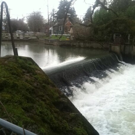 value: "This creek runs through neighborhoods in the city of Salem. Very pretty actually."
