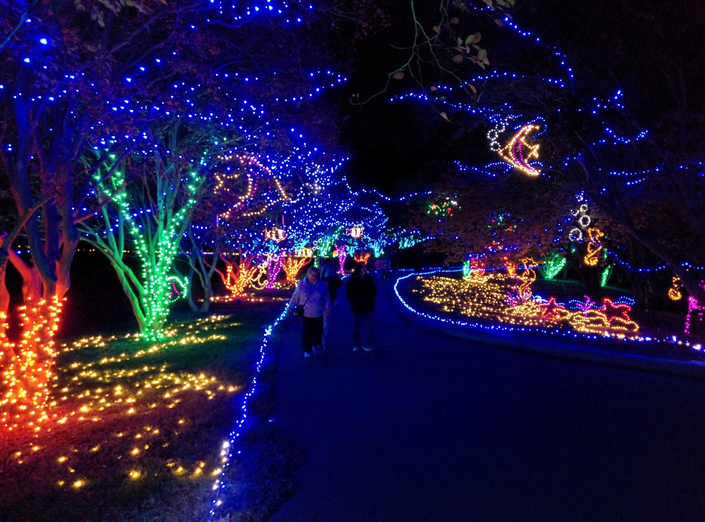 Norfolk Botanical Gardens Lights | Fasci Garden