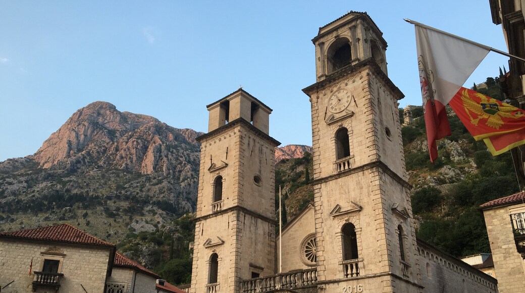Καθεδρικός Αγίου Τρύφωνα, Kotor, Δήμος Κότορ, Μαυροβούνιο