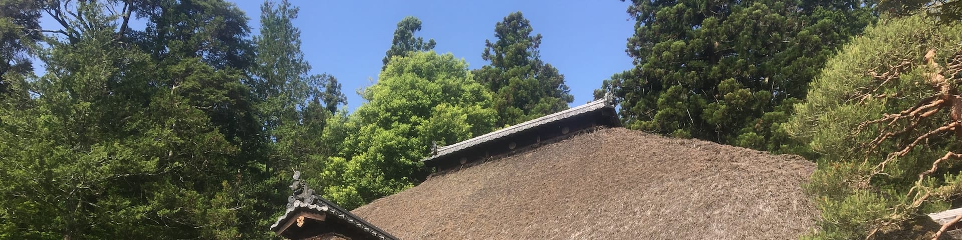 Early morning sunlight on the Jorakuji temple